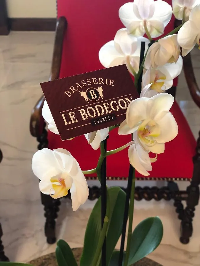 Grand Hotel D'Espagne Lourdes